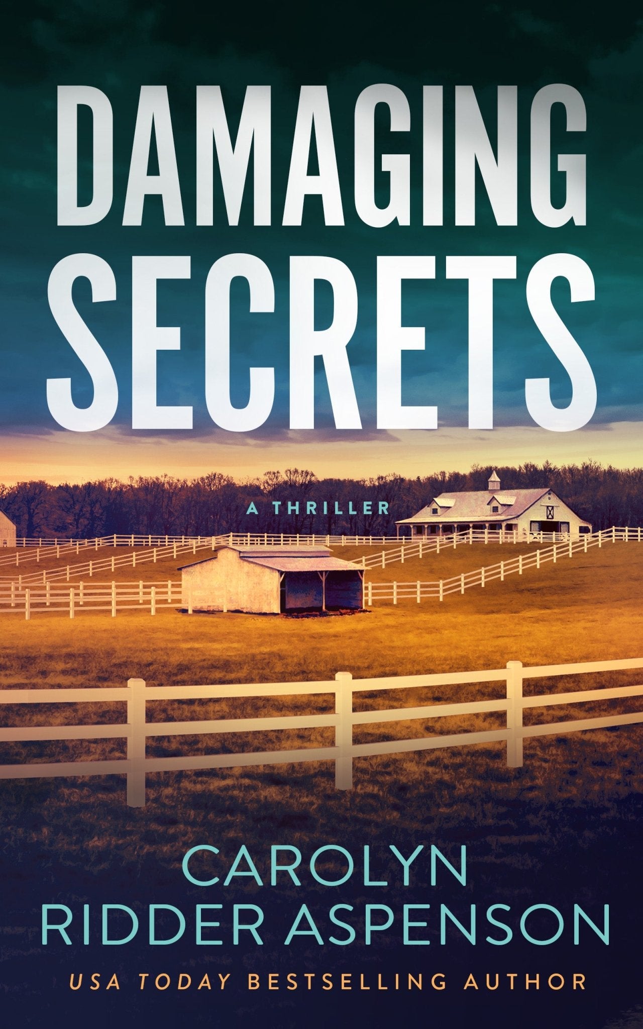 Damaging Secrets - Severn River Publishing