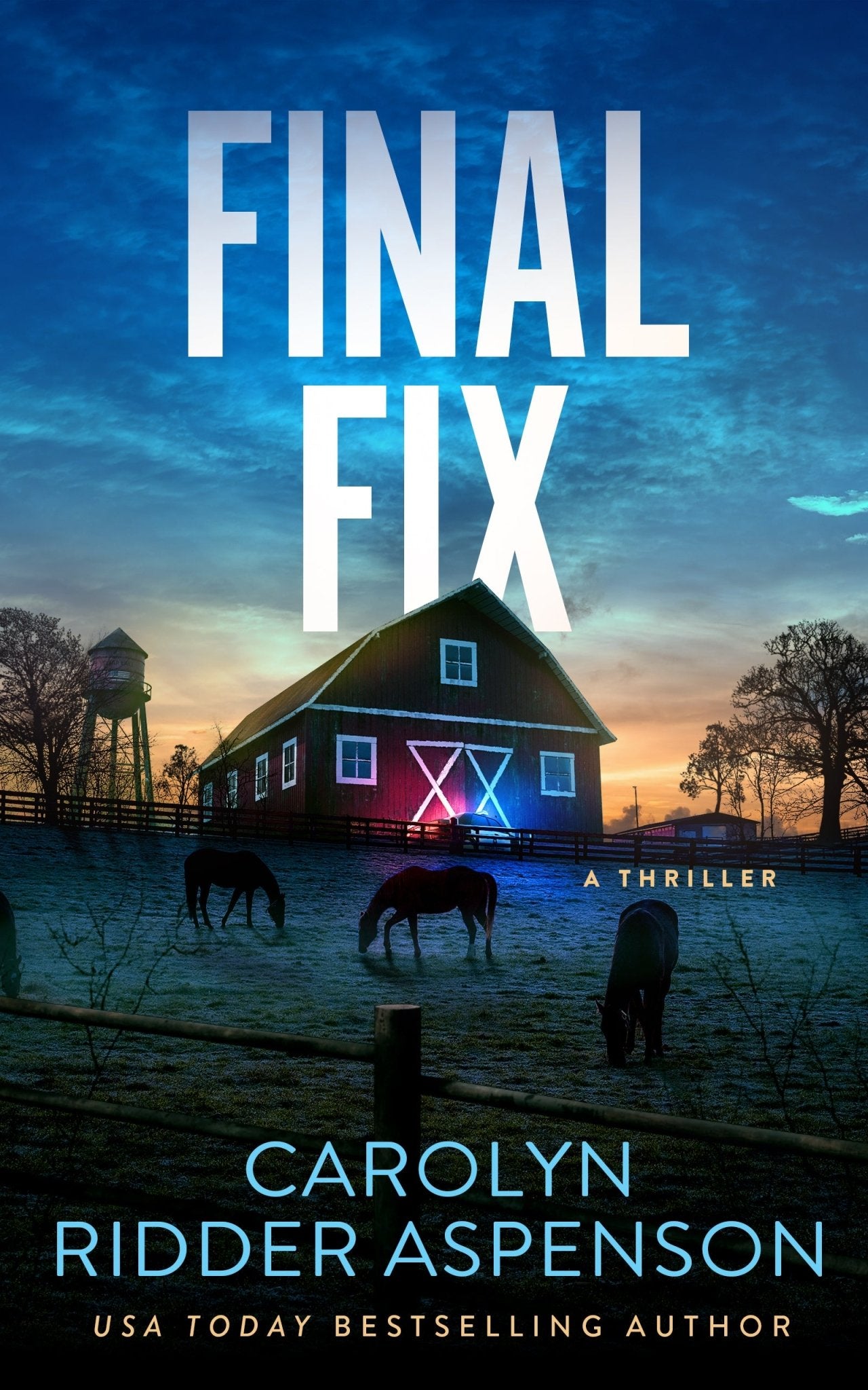 Final Fix - Severn River Publishing
