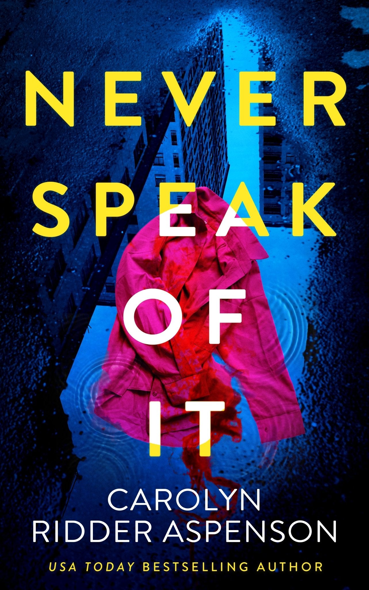 Never Speak of It - Severn River Publishing