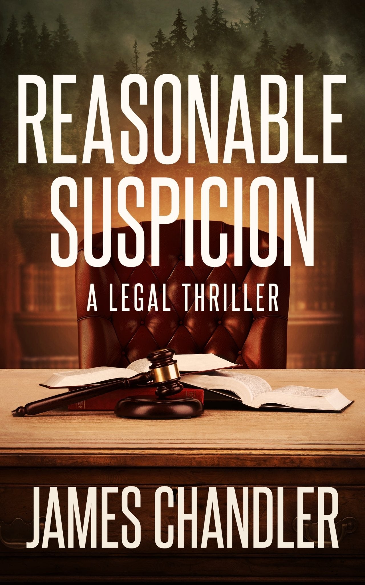 Reasonable Suspicion - Severn River Publishing