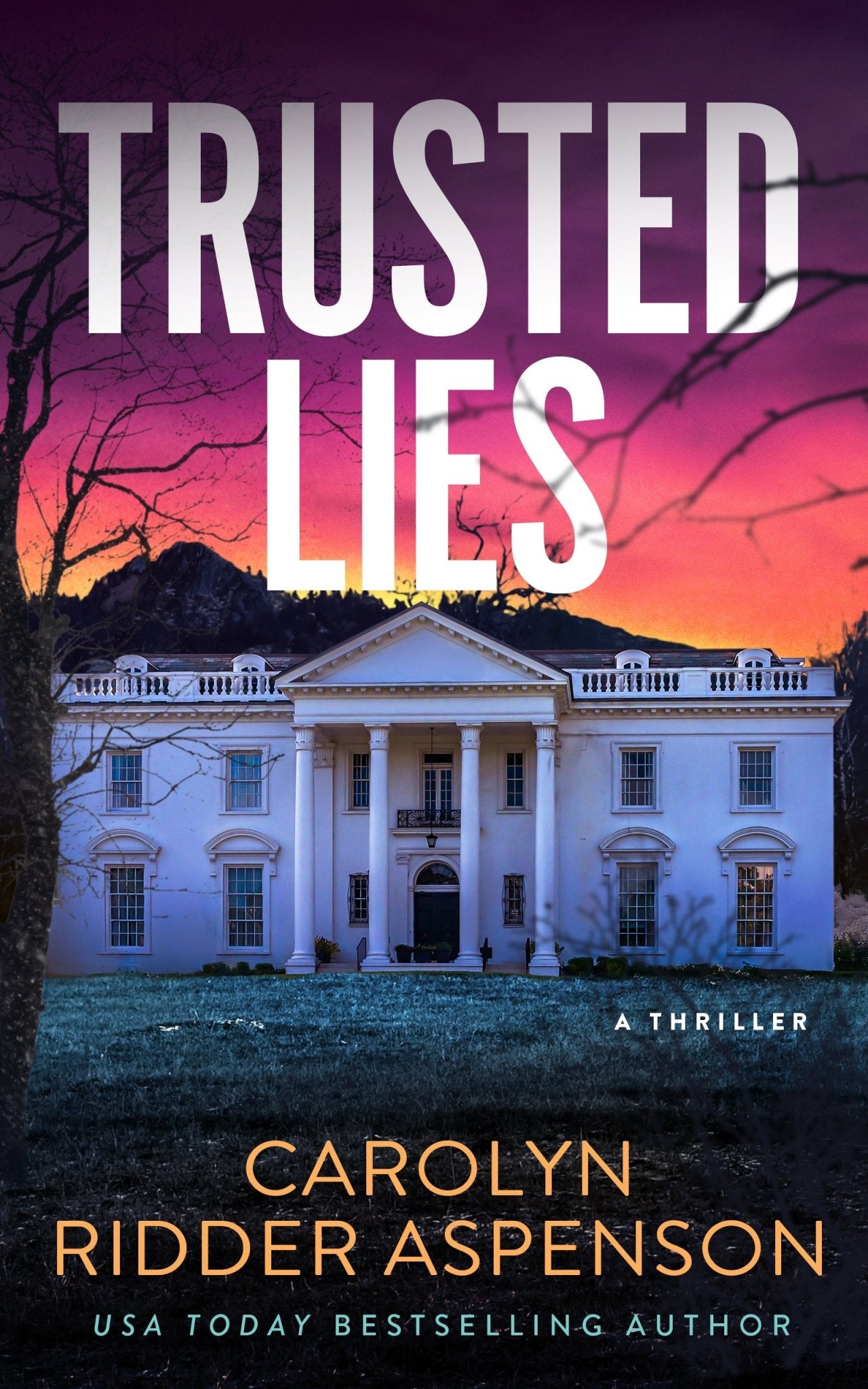 gear and weapons river severn Trusted Lies by Carolyn Ridder Aspenson – Severn River Publishing
