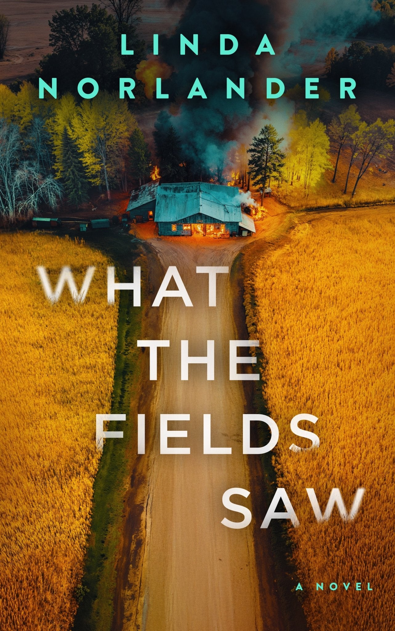 What the Fields Saw - Severn River Publishing