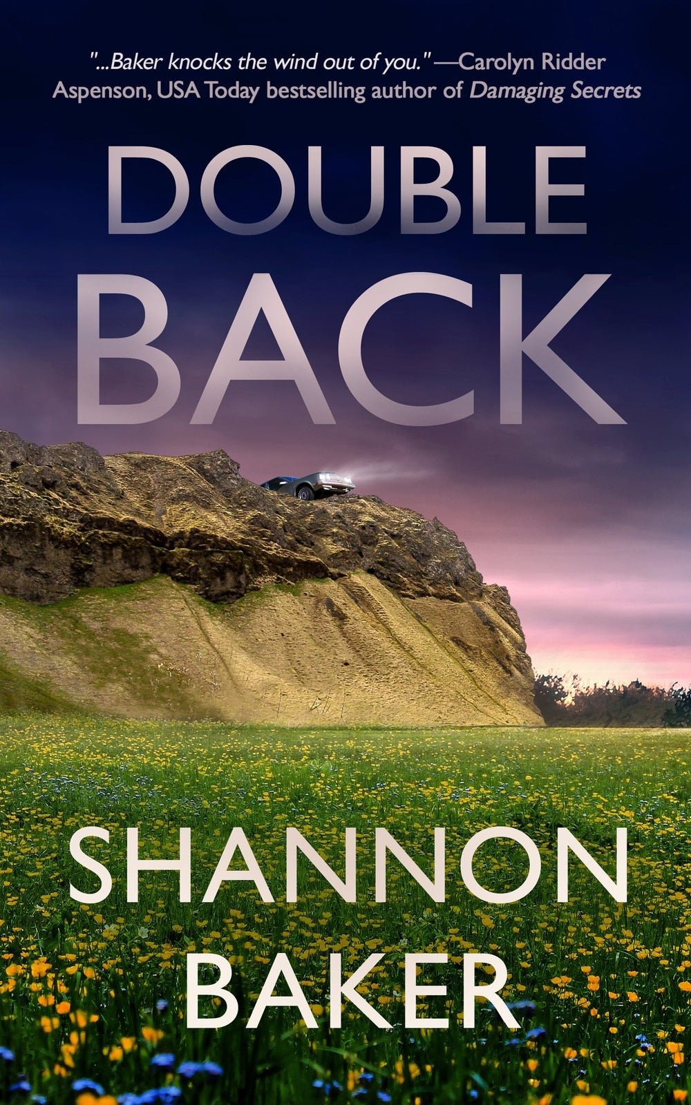 Double Back - Severn River Publishing