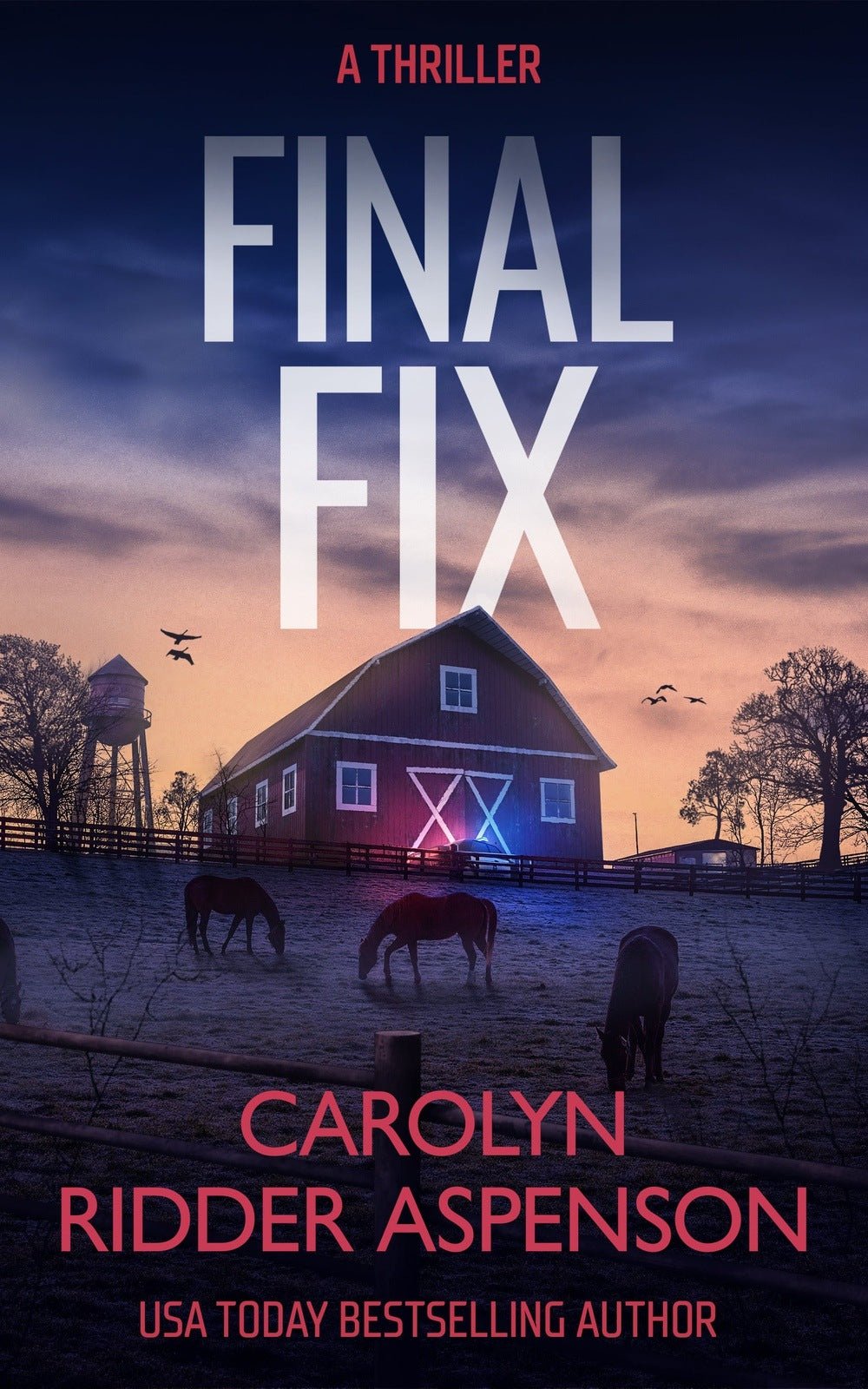 Final Fix - Severn River Publishing