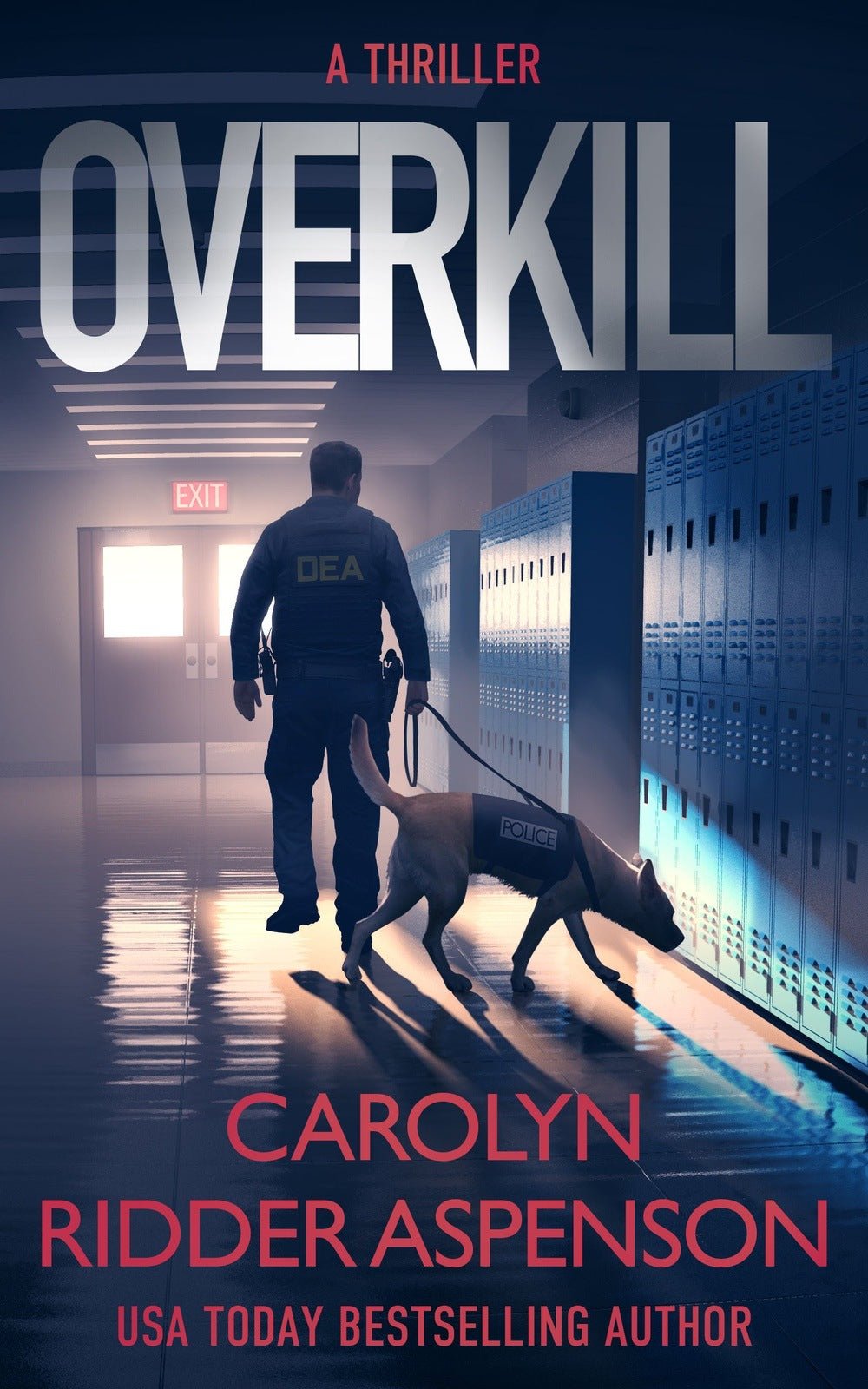 Overkill - Severn River Publishing