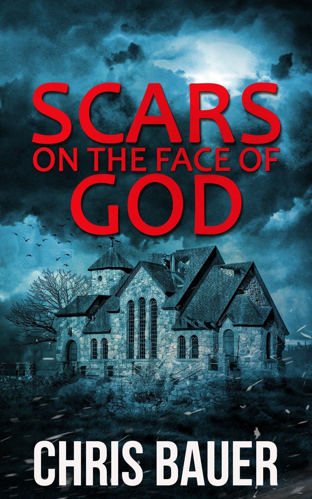 Scars on the Face of God - Severn River Publishing
