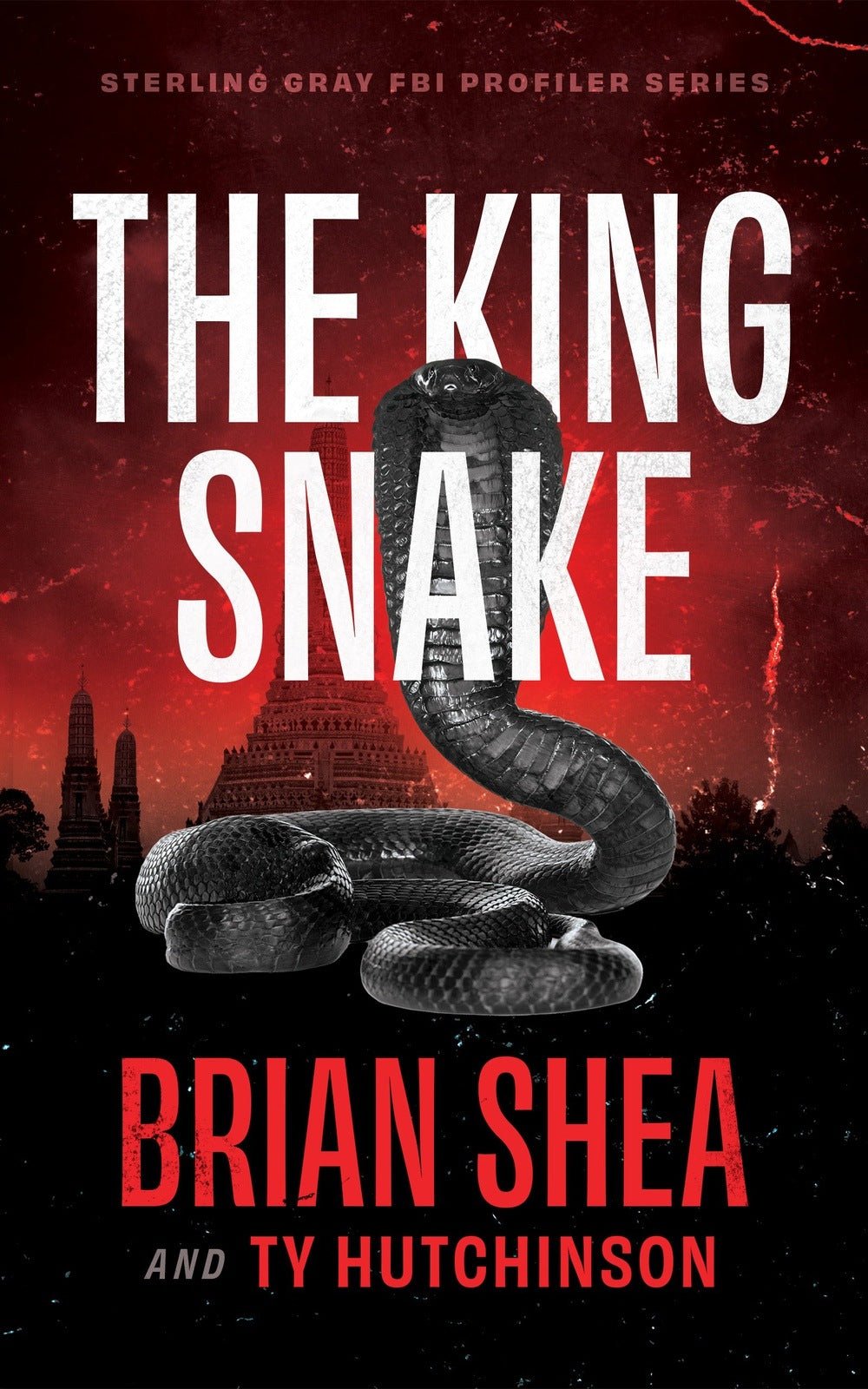 The King Snake - Severn River Publishing