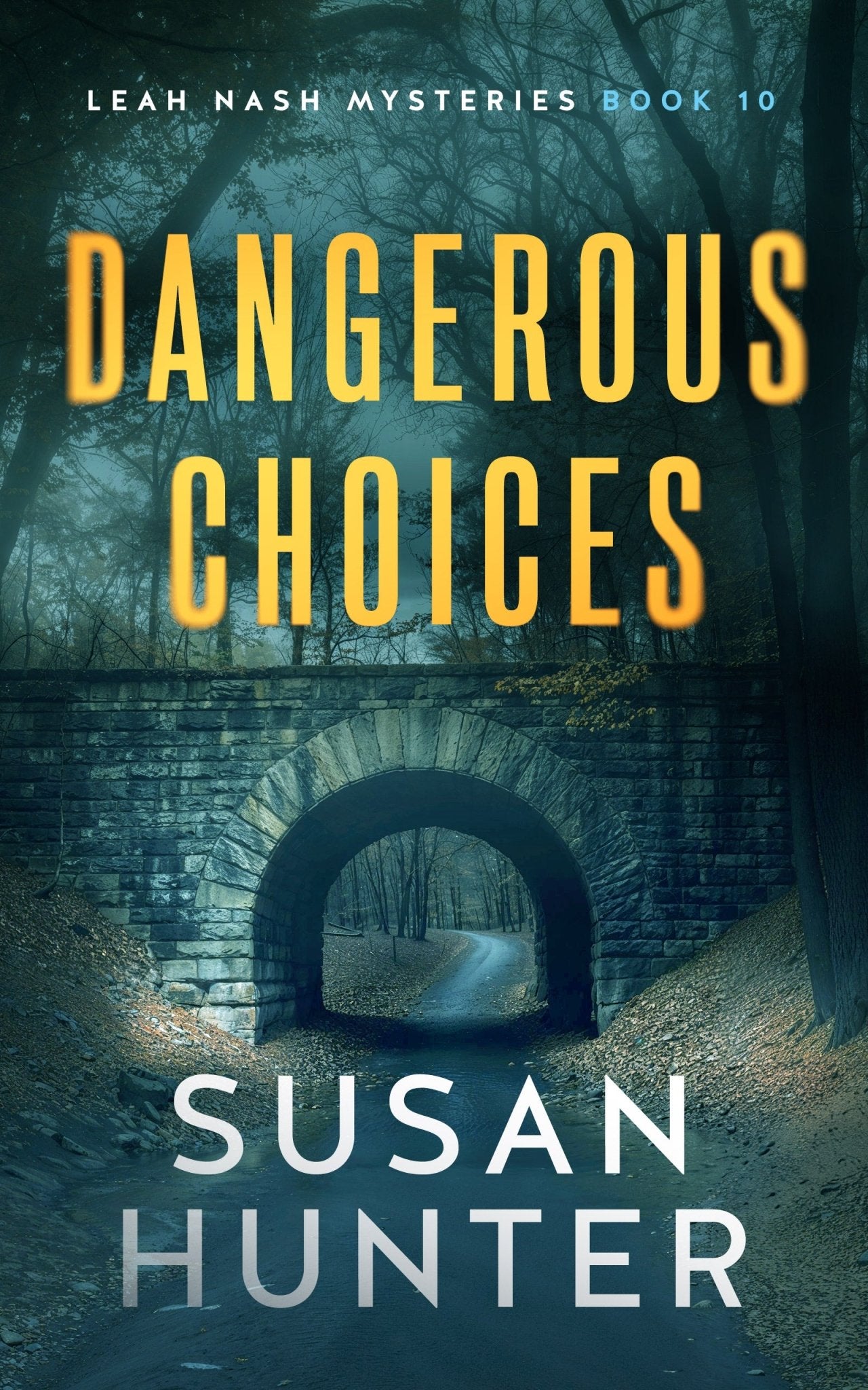 Dangerous Choices - ​Severn River Publishing