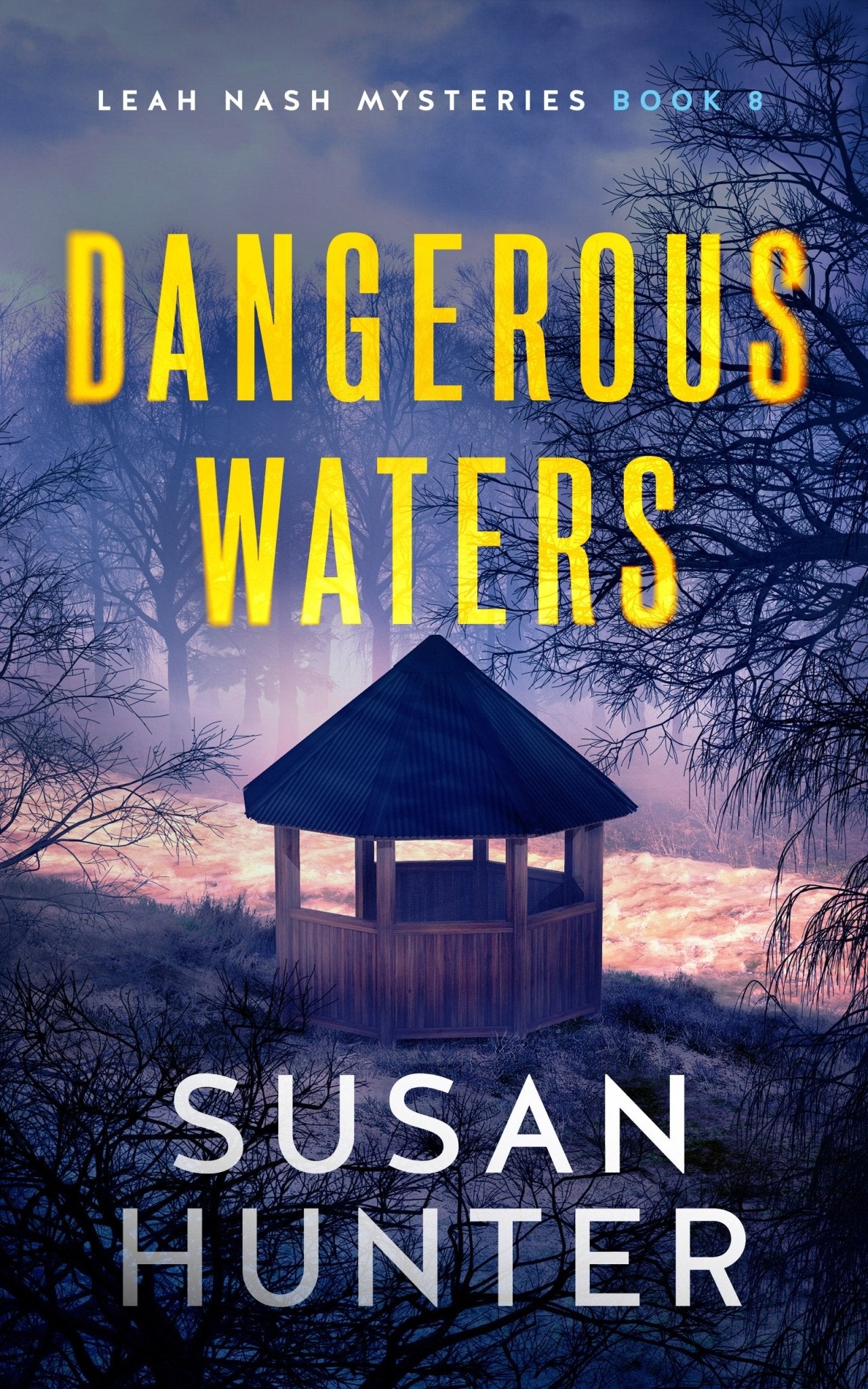 Dangerous Waters - ​Severn River Publishing