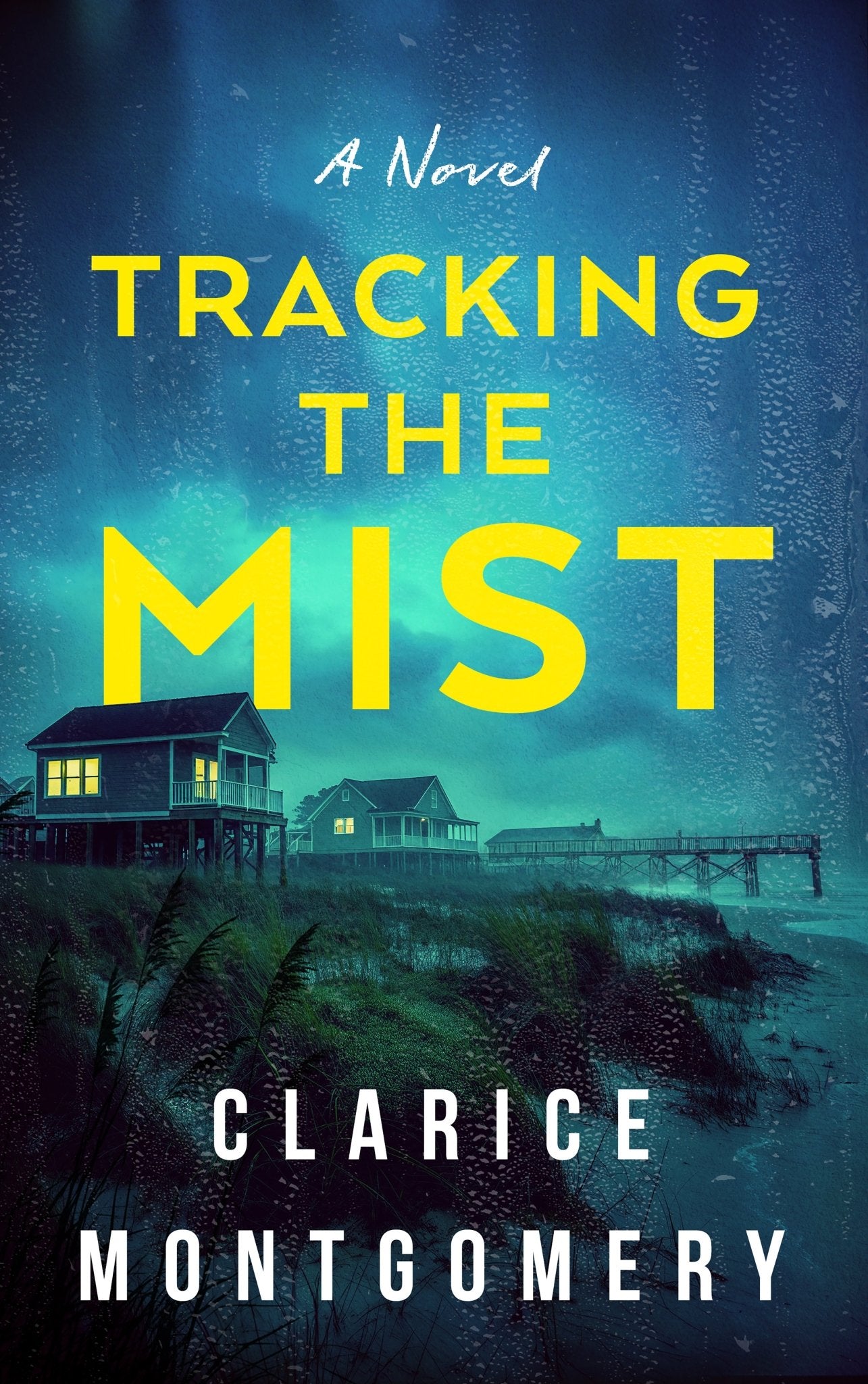 Tracking the Mist - ​Severn River Publishing