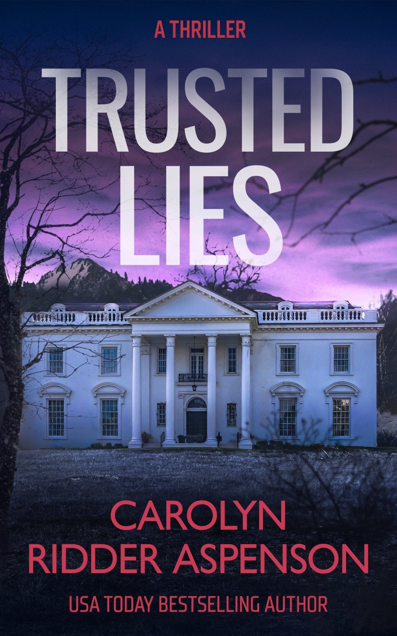 Trusted Lies - ​Severn River Publishing