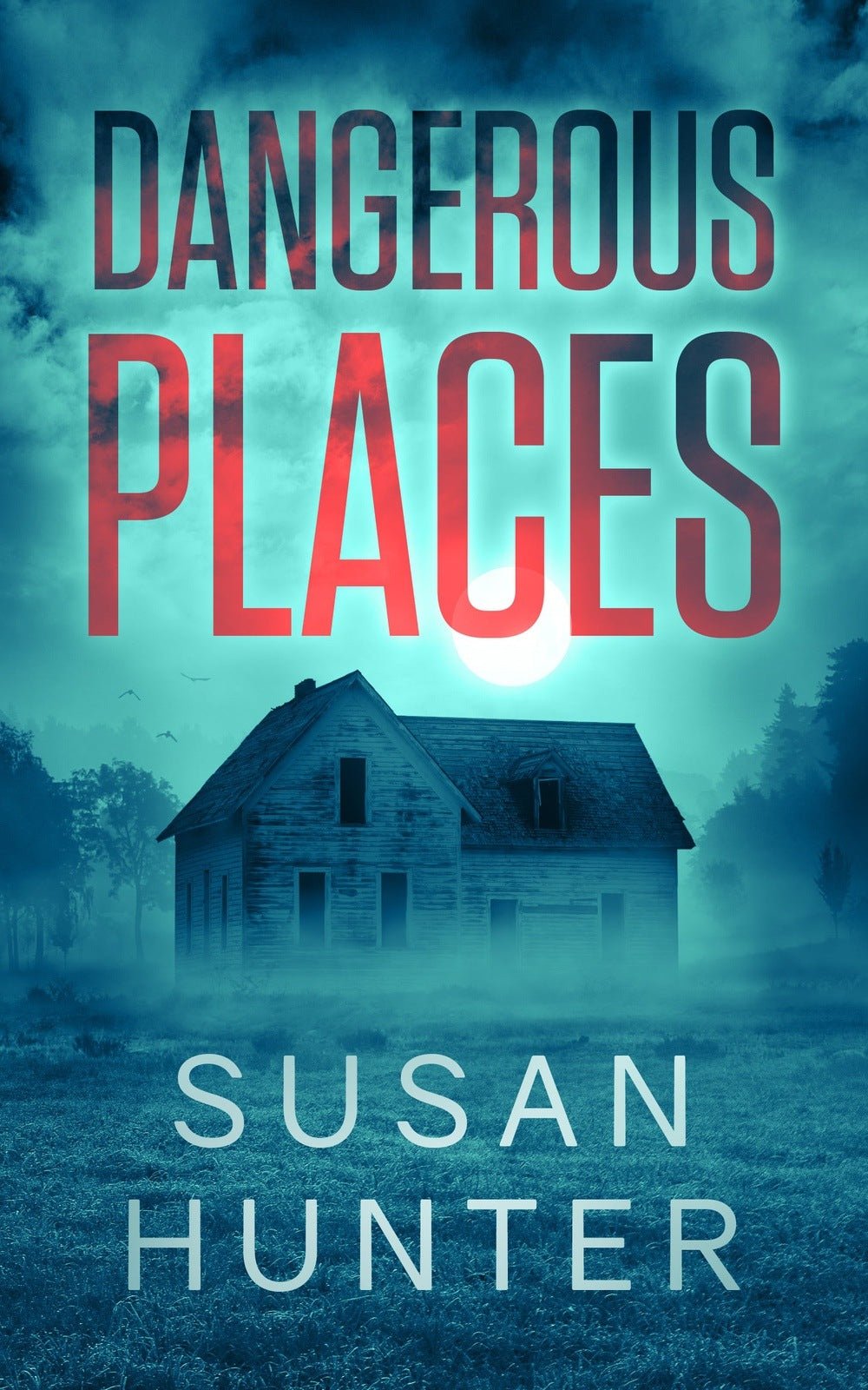 dangerous-places-leah-nash-mysteries-a-gripping-murder-mystery-by