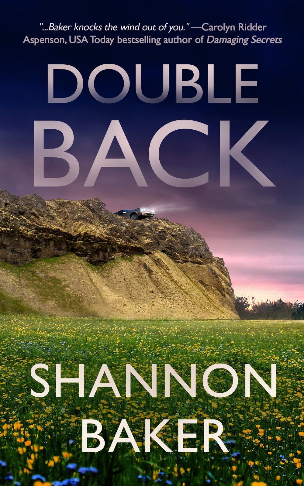 Double Back - ​Severn River Publishing