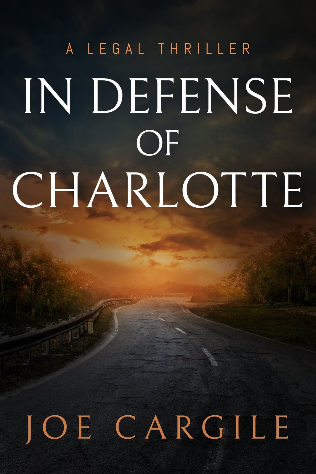 In Defense Of Charlotte: A Riveting Legal Thriller Of Family Feuds And ...