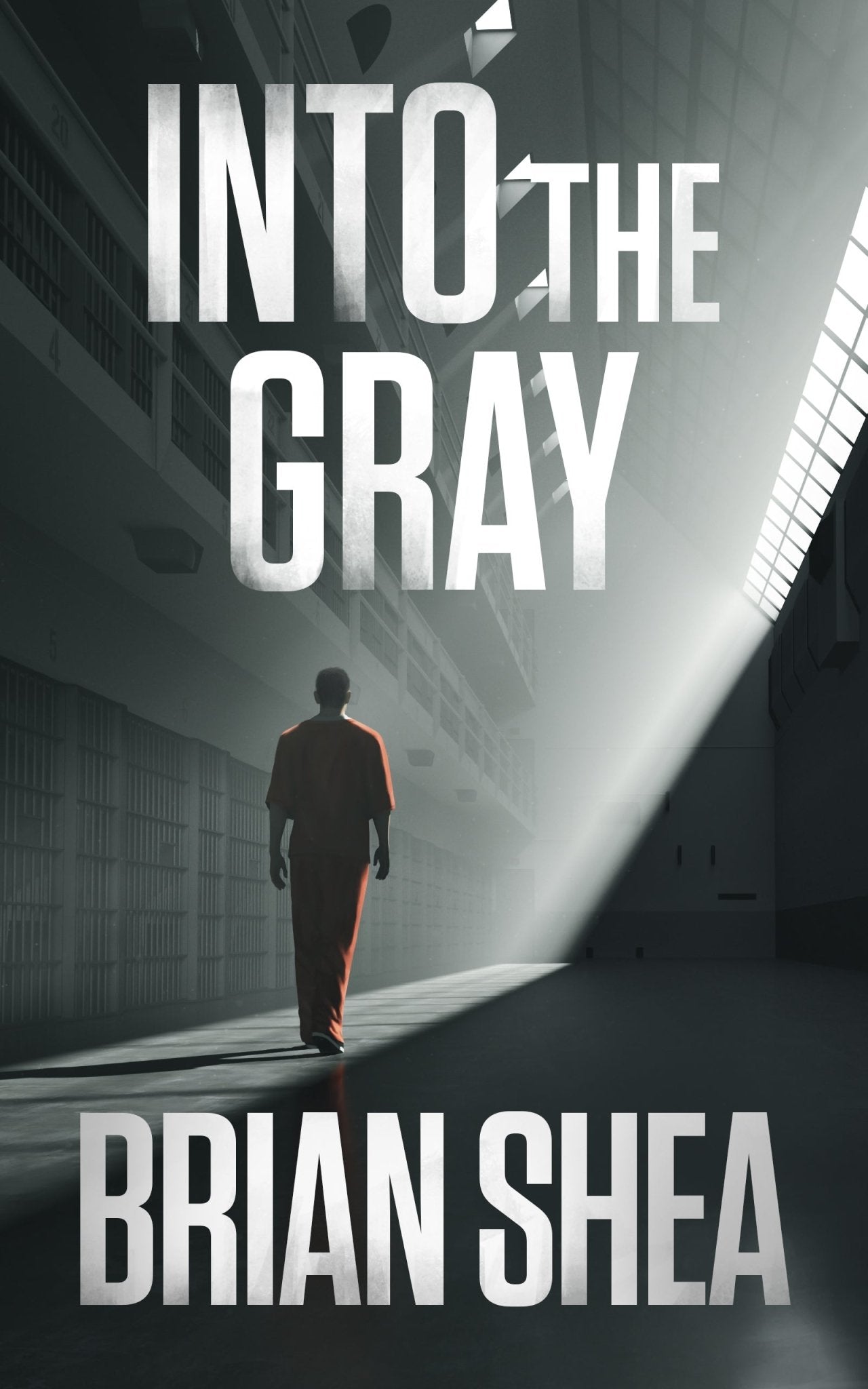 Into the Gray - ​Severn River Publishing