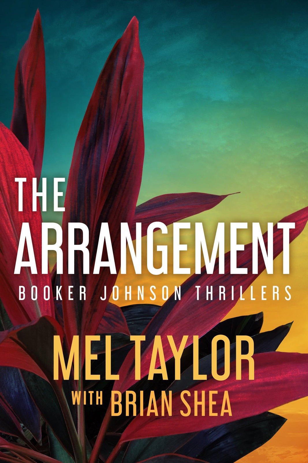 The Arrangement - ​Severn River Publishing